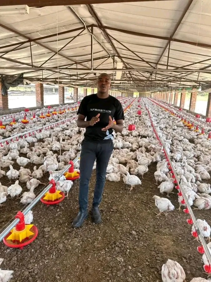 When I started my journey in commercial broiler production in 2014 with 10,200 chicks