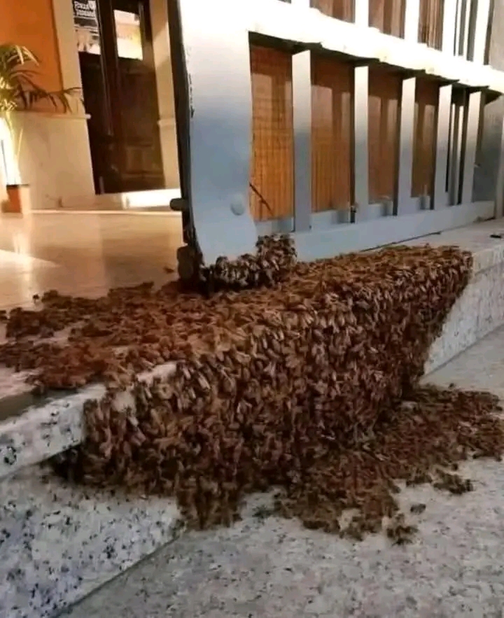 When You See Something Like This, Don’t Be Afraid, Don’t Call The Firefighters Or The Police