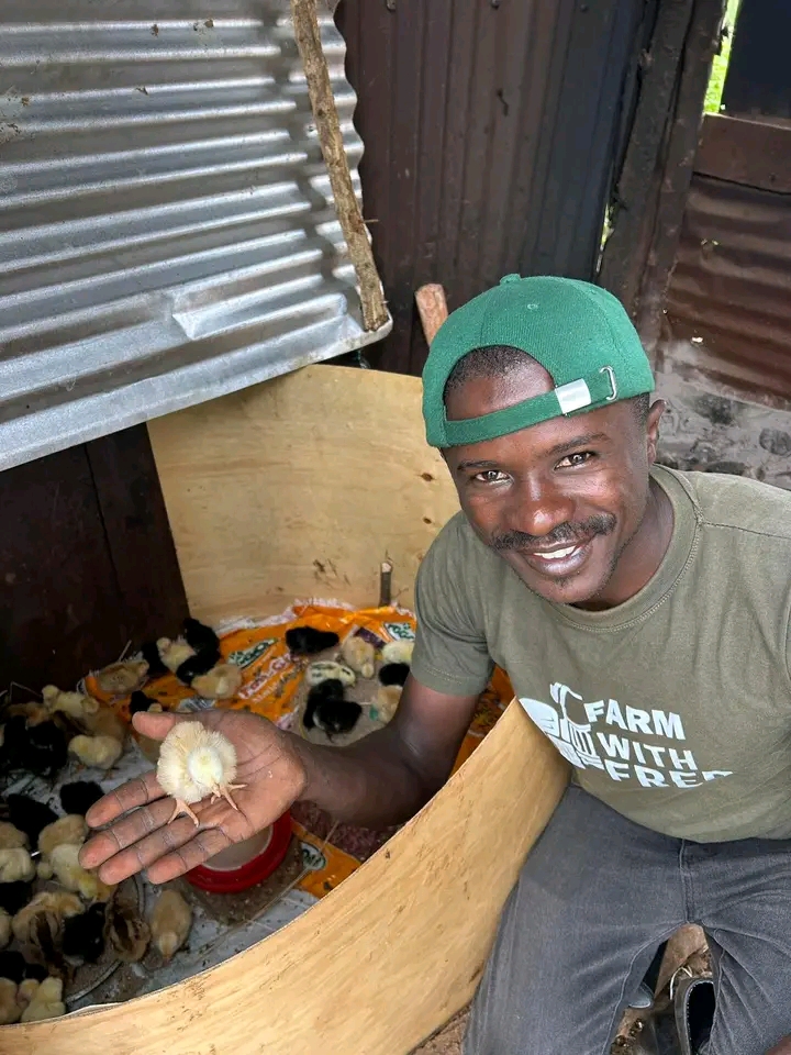 To Vaccinate Local Chicken Breeds (Kienyeji) or Not?