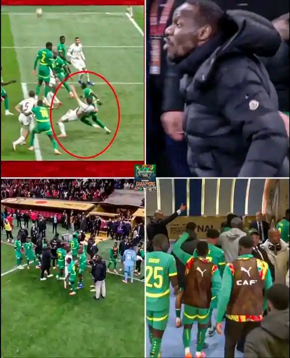 Walid Regragui Blasts The Senegalese coach Pape Thiaw