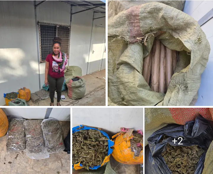 Crackdown On Narcotics